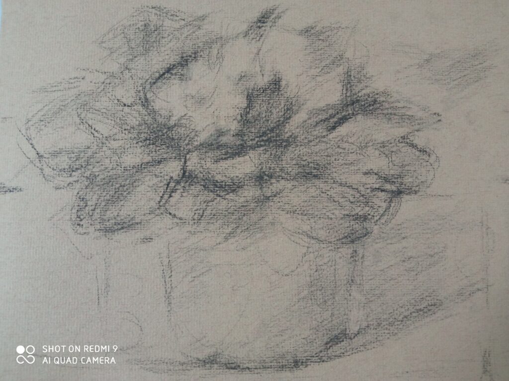 The second progress of the new still life drawing -The flower for the woman