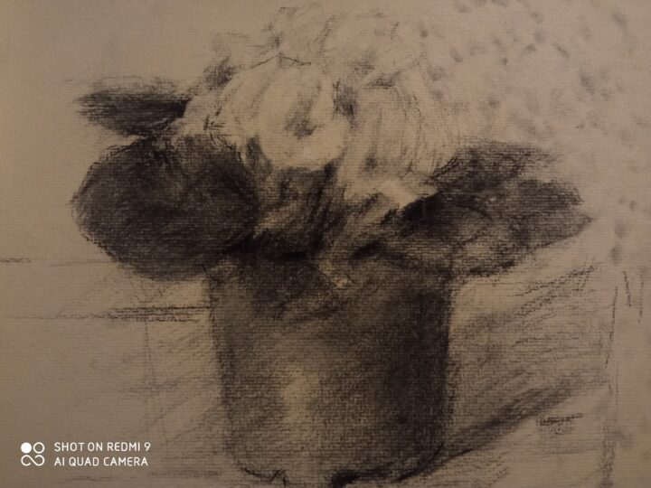 The 4th progress of the second version /the new still Life drawing-The flower for the woman