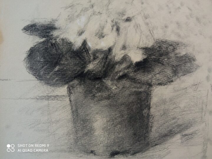 The 5th progress of the second version /the new still Life drawing-The flower for the woman