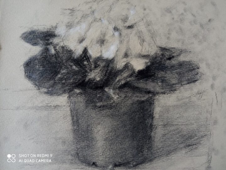 The 6th progress of the second version /the new still Life drawing-The flower for the woman