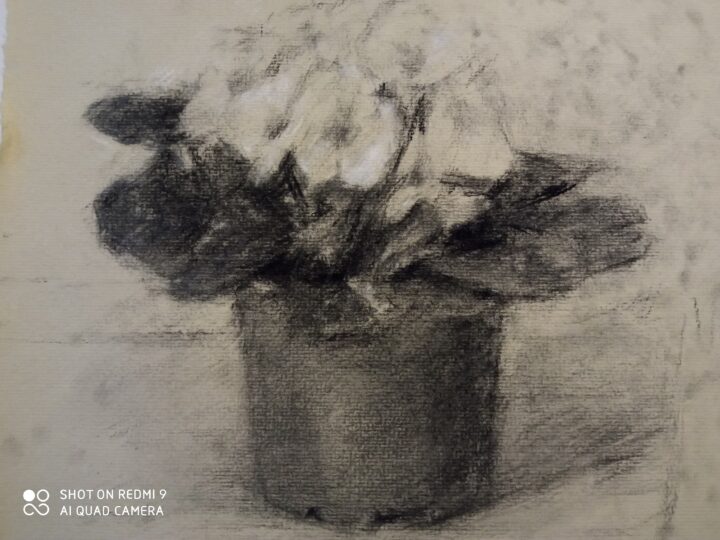 The 7th progress of the second version /the new still Life drawing-The flower for the woman