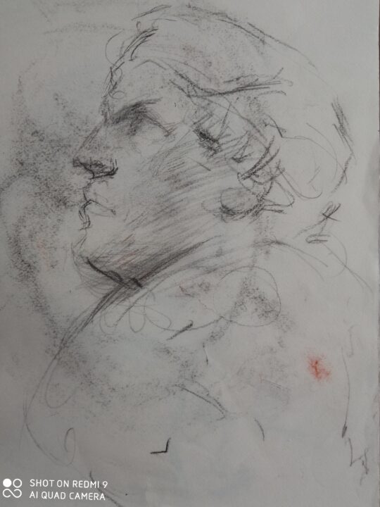 Starting to upload again on website-The new progress of the new analyzing drawing-Michelangelo at Louvre Museum